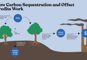 Carbon Sequestration 01