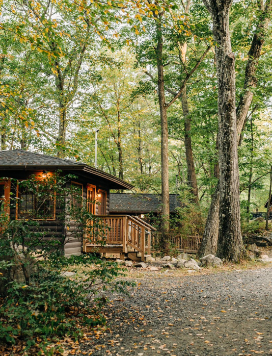 Hotel In Jungle