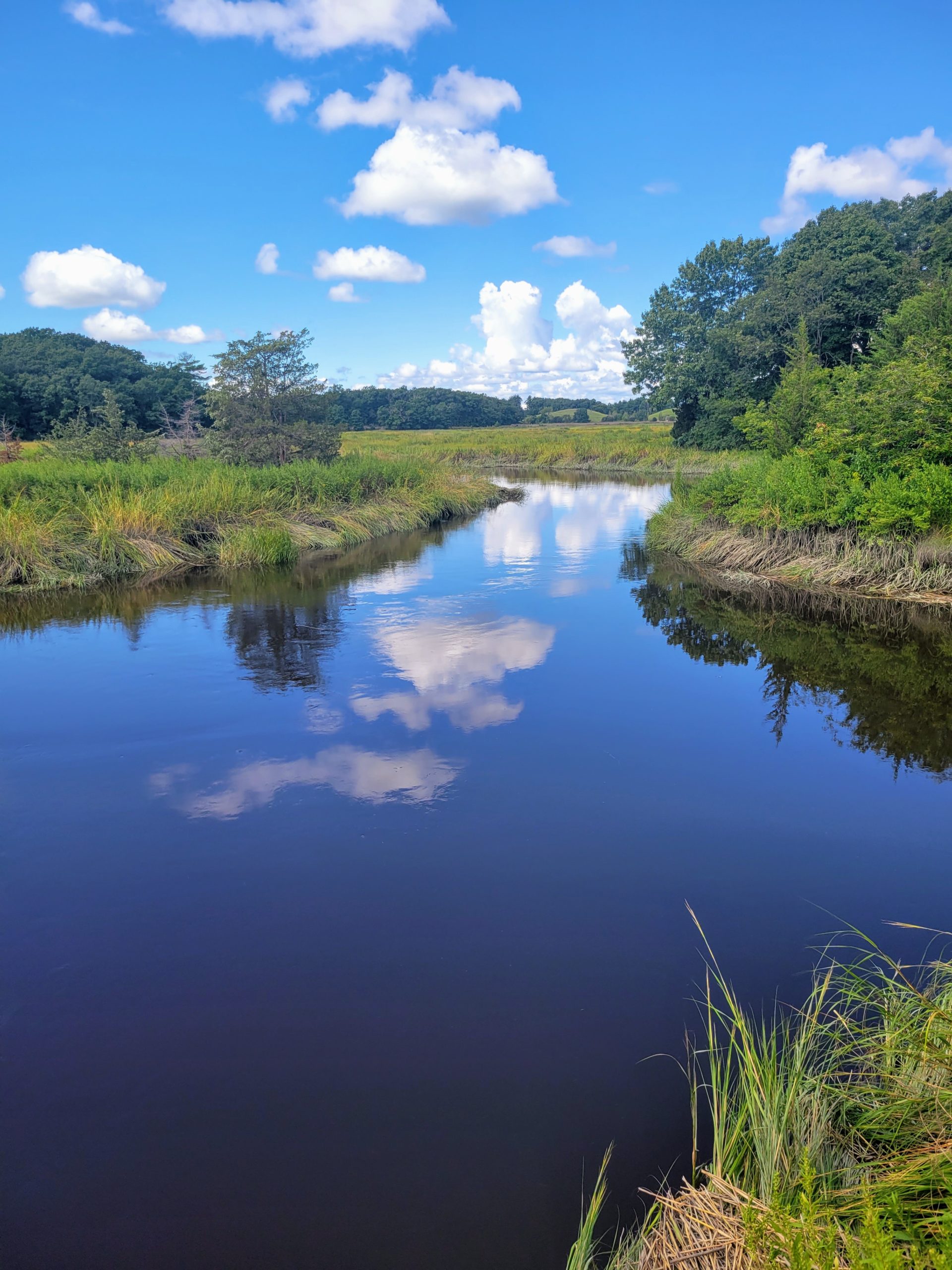 View from the Newbury Salt Marsh in Newbury