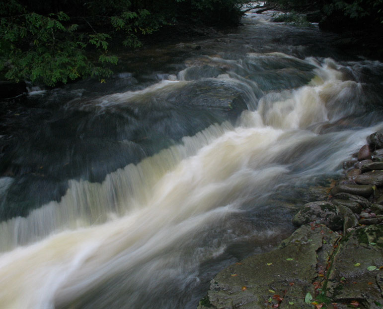 Brock Neversink Flowing