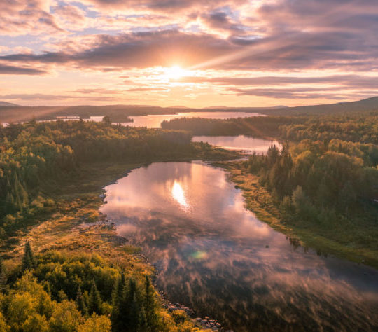 Sept. 1, 2021. Maine Woods, Maine-- Photo by Jamie Malcolm Brown.