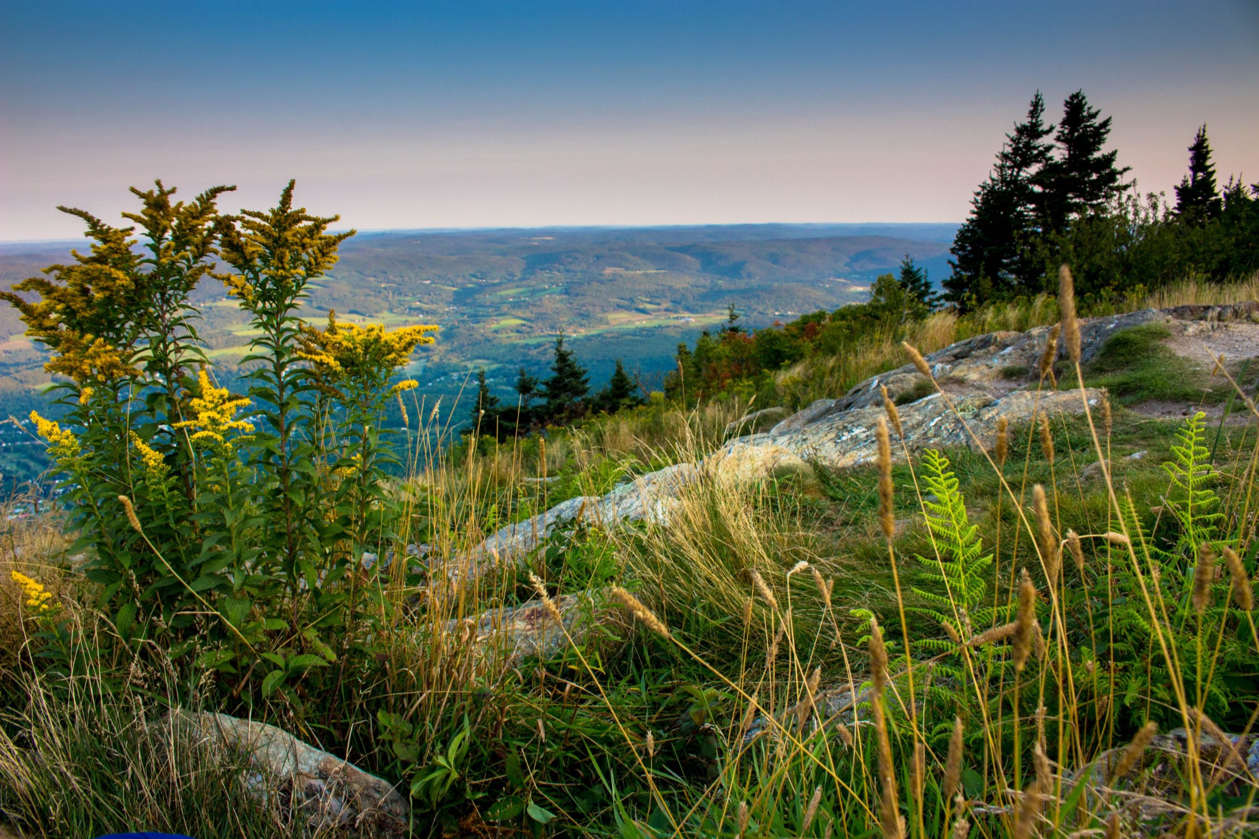 Mount Greylock Appalachian Trail