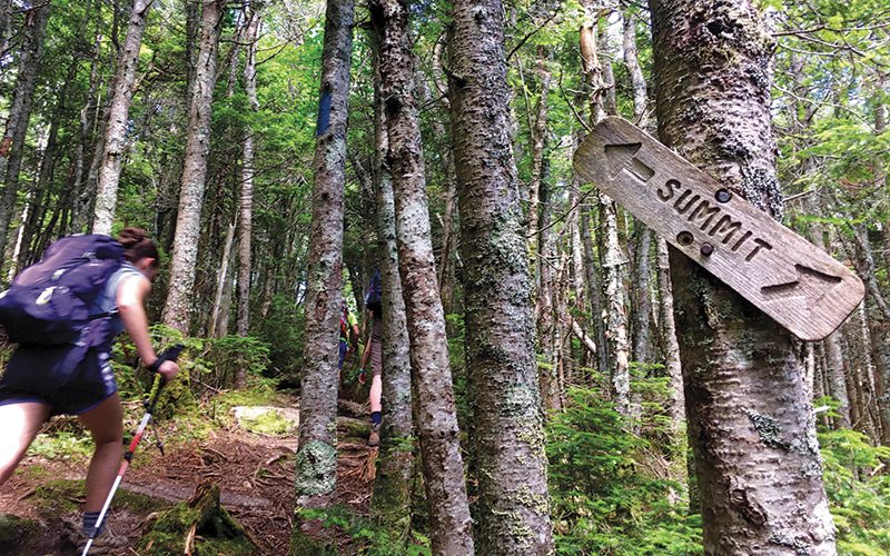 trekking poles on mountain trails