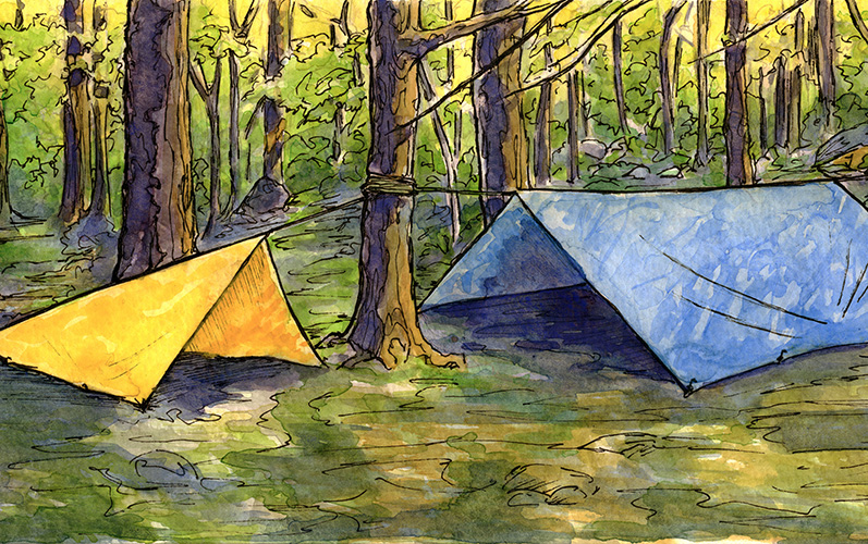 Tarp Shelter