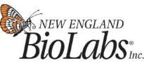 New England Biolabs Inc Logo