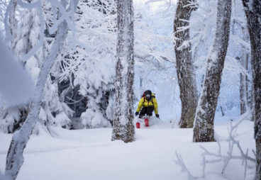 Pc2020 Nick Tartaglione Skiing Through Narnia.jpeg 1 1024x640