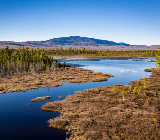 May 2, 2019. Pleasant River Headwaters Forest, Maine-- Photo by Isaac Crabtree.