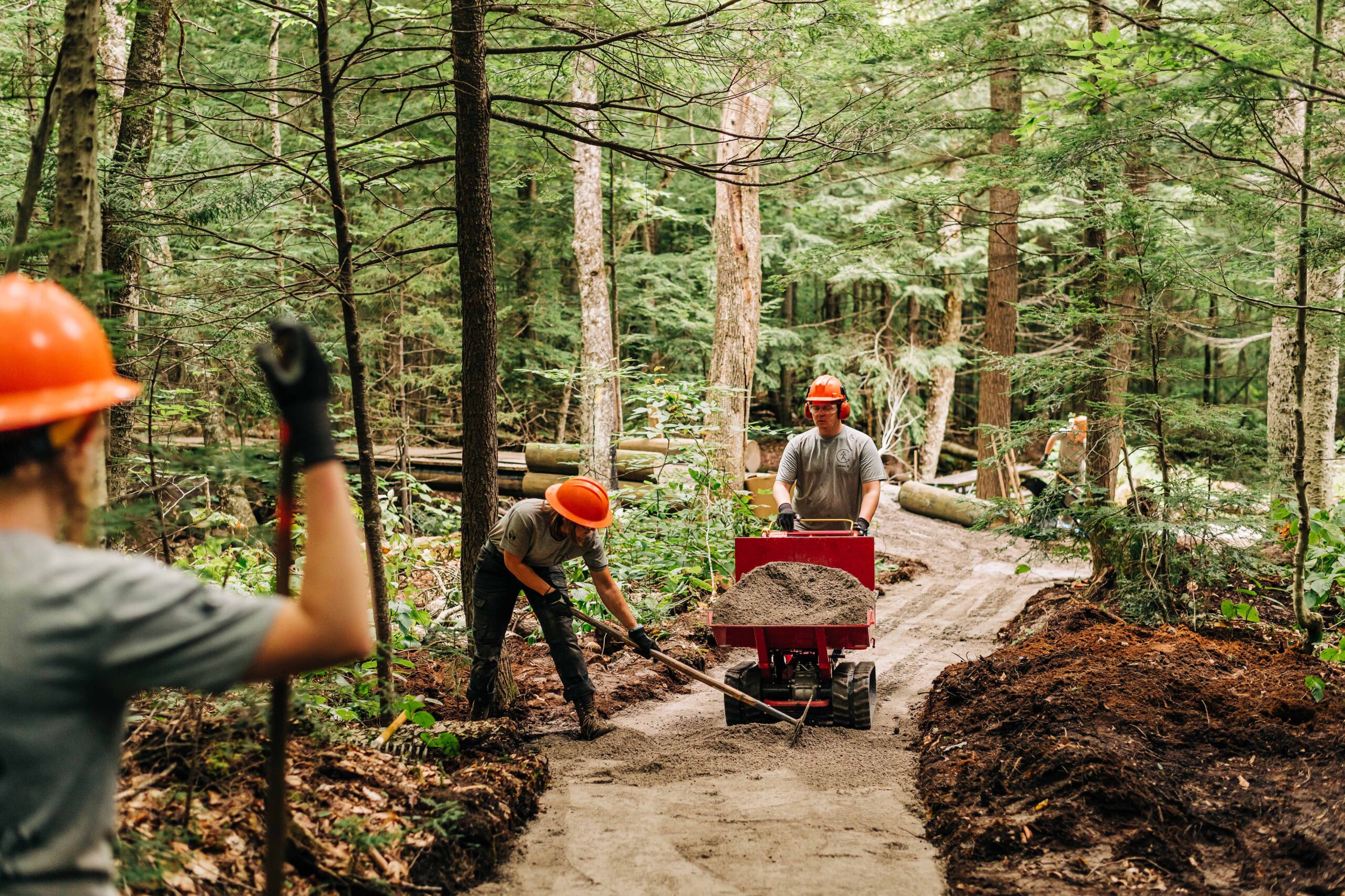 Trail crew in the forest