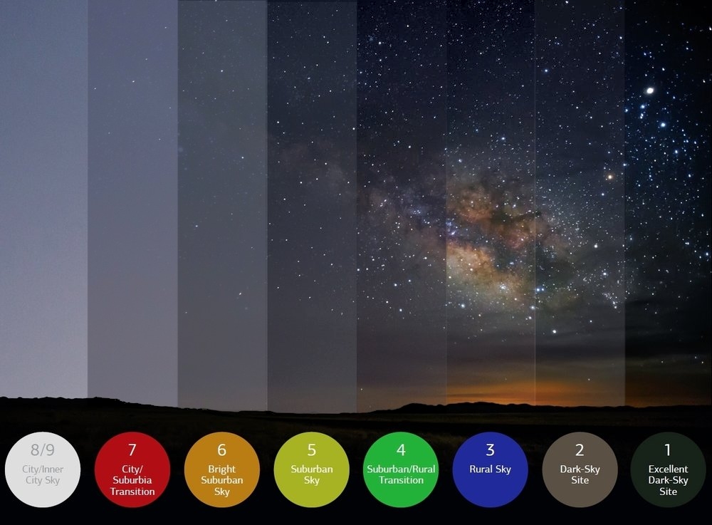 Bortel Scale