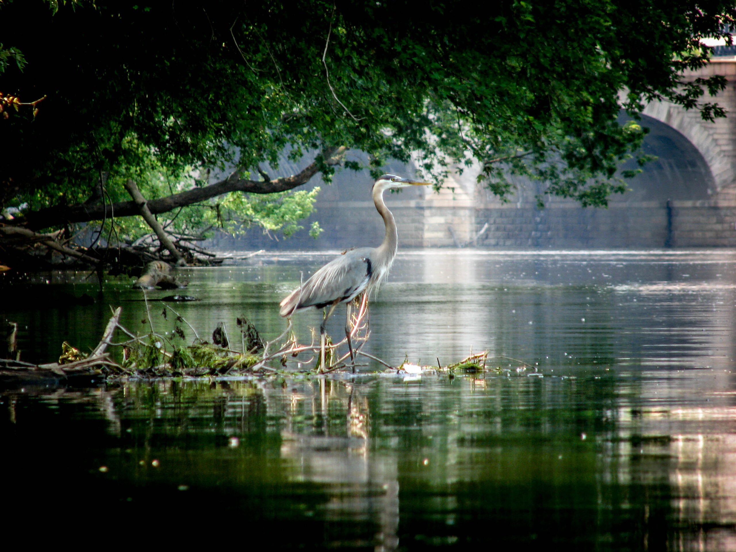 Smb://mastadon/photolib Boston/communications/marketing/photos And Art/photos/amc Outdoors Magazine Rights Only/ Amc Photo Contest Entries/2015