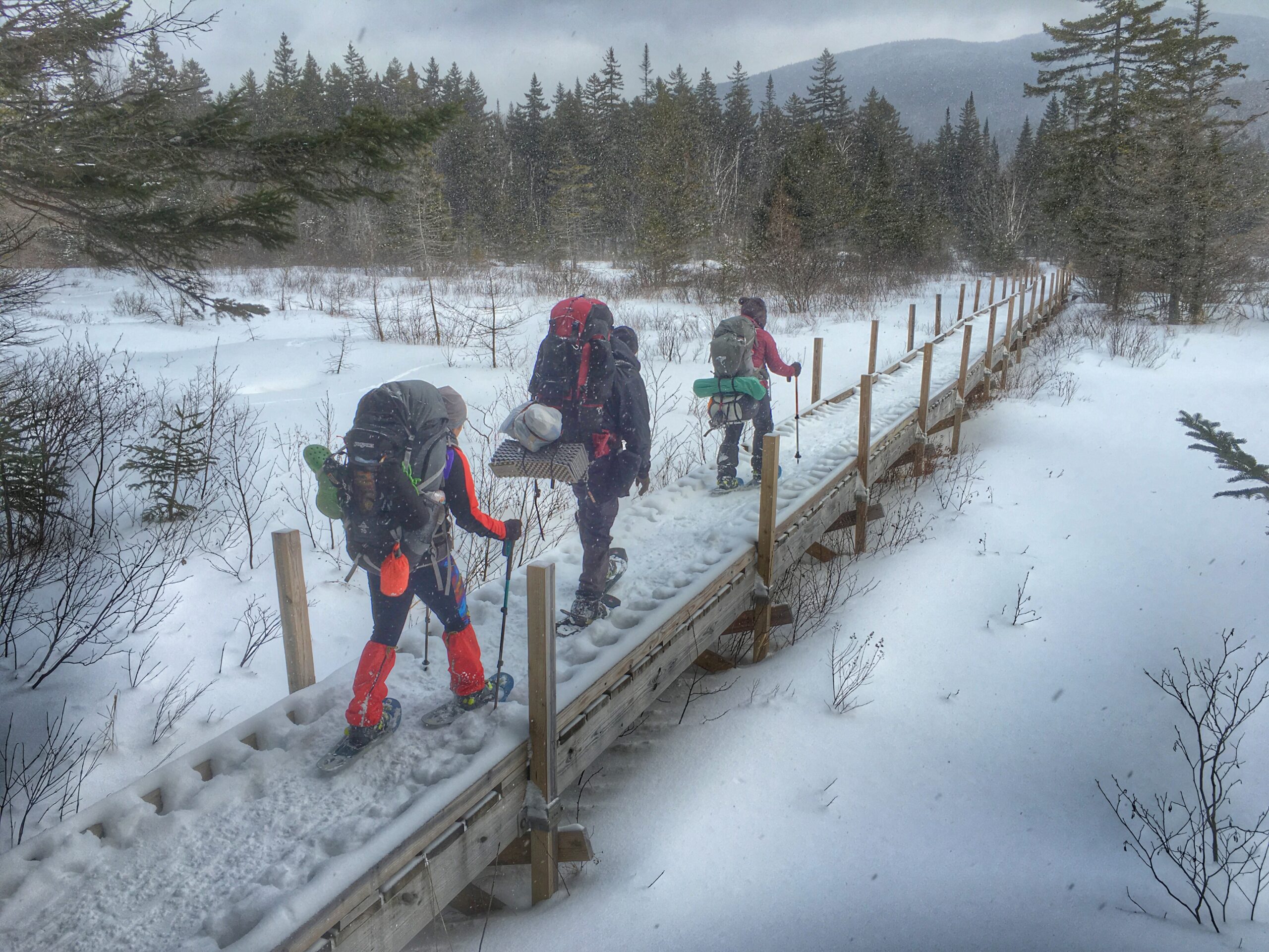 Snowshoers crossing a bridge on Zealand Trail in the White Mountains.