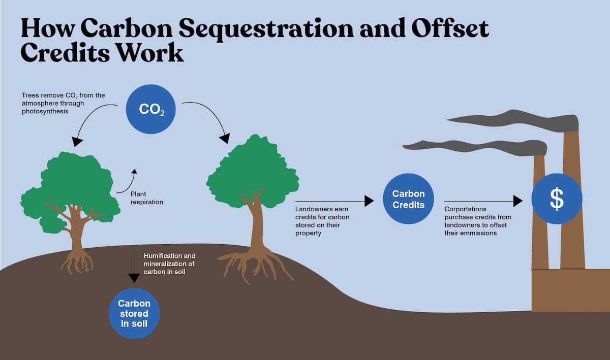 Carbon Sequestration 01